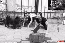 Chùm ảnh vũ công múa cột phản đối lễ hội thịt chó