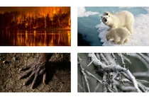 Kinh hoàng hậu quả của biến đổi khí hậu trên thế giới