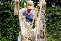 Cuộc sống của thợ săn cá sấu giỏi nhất Australia