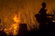 Hình ảnh cháy rừng ở miền tây nước Mỹ