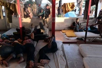 Khốn khổ những người tị nạn trên đảo Hy Lạp