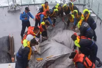 Thêm 2 nạn nhân Air Asia được nhận dạng