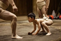 Xem “võ sĩ sumo nhí” Nhật Bản khổ luyện