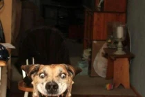 Những khoảnh khắc hài hước