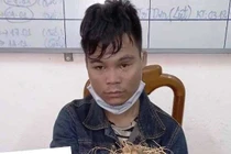 Xác định đối tượng trộm 10 củ sâm Ngọc Linh quý tại Quảng Nam