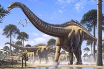 Loạt tượng đá bí ẩn chứng minh con người sống cùng thời với khủng long