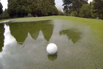 Xử lý thế nào khi có nước đọng tạm thời trên green?