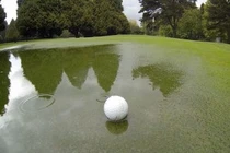 Xử lý thế nào khi có nước đọng tạm thời trên green?