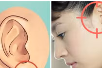 Phụ nữ có 3 tướng tai mang tài lộc cho cả gia đình