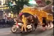 Video: Rước đèn trung thu náo loạn phố và màn "úp đèn" CSGT