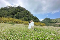 Cùng người yêu du ngoạn cảnh đẹp nơi địa đầu Tổ quốc