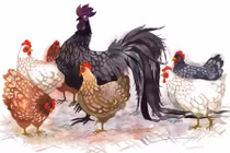 Từ tháng 7 âm tới hết 2022: 3 con giáp hết khổ, vùng lên giàu có 