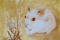 4 con giáp khổ trước sướng sau, càng có tuổi càng vượng tài phát lộc