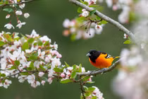 Ai sinh ngày Âm lịch này chỉ dựa chính mình làm giàu 