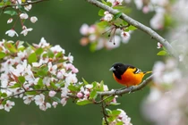 Ai sinh ngày Âm lịch này chỉ dựa chính mình làm giàu 