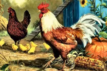 Thần Tài gọi tên 3 con giáp đỏ nhất tháng 10/2020, tiền bạc lai láng