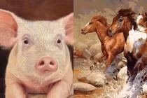 3 con giáp nữ vượng phu ích tử, ai lấy được có phúc 3 đời