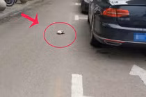 Dù có tiền hay không, ra đường cũng không nhặt được 4 thứ này