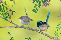 Ai sinh tháng Âm lịch này xởi lởi, nhân hậu, bạn bè yêu quý 