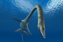 Bộ phận gây sốc nâng cấp "xà đầu long" kỷ Jura thành quái vật