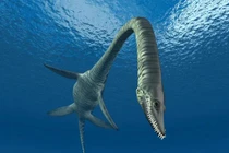 Bộ phận gây sốc nâng cấp "xà đầu long" kỷ Jura thành quái vật