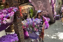 Quán cà phê độc, lạ ở Cần Thơ