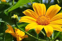 5 ngày Âm lịch này, được quý nhân che chở