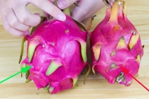 Thanh long chọn quả dài hay tròn? Chủ vườn chỉ cách lựa quả ngon 