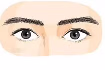 Phụ nữ mang mệnh phu nhân thường sở hữu đặc điểm này