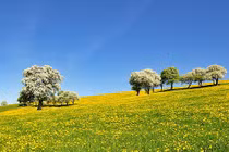 Tháng 3 Âm lịch, 3 con giáp may mắn tăng vọt, phúc lộc dồn dập