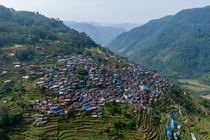 Hành trình săn mật loài ong lớn nhất thế giới ở Nepal