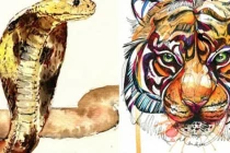 Số Trời định: 3 tuổi xấu nhất 2023, Thái Bạch sạch bách cửa nhà