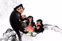 Phụ nữ thuộc 3 con giáp này tuy nóng nảy bất thường 