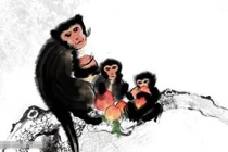 Phụ nữ thuộc 3 con giáp này tuy nóng nảy bất thường 