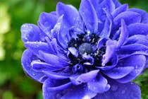 Ai sinh ngày Âm lịch này thì tài vận hanh thông, năm 2022 thăng quan