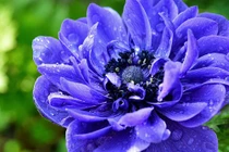 Ai sinh ngày Âm lịch này thì tài vận hanh thông, năm 2022 thăng quan