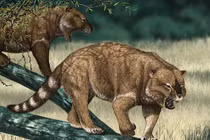 Những loài thú có túi to lớn nhất từng được con người phát hiện