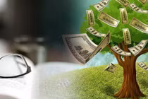 5 cách thu hút của cải cực dễ ai cũng làm được 