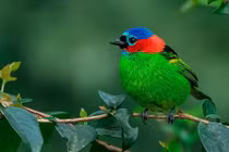 4 con giáp tiền bạc rủng rỉnh, sự nghiệp hanh thông tháng 5 Âm lịch