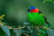 4 con giáp tiền bạc rủng rỉnh, sự nghiệp hanh thông tháng 5 Âm lịch