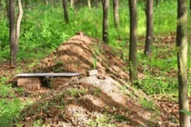 Quan tài chôn dưới, sao trên mặt đất có gò đất nhỏ nhô lên? 