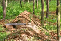 Quan tài chôn dưới, sao trên mặt đất có gò đất nhỏ nhô lên? 