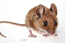 3 con giáp xui xẻo trong tháng 10, làm gì cũng khó khăn