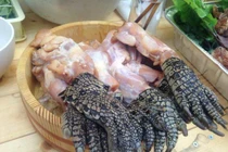 Kinh dị món súp chân cá sấu Singapore được người bản địa vô cùng yêu thích