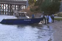 Nhảy xuống sông bơi cùng cá heo, cô gái bị cá mập cắn chết