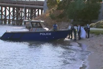 Nhảy xuống sông bơi cùng cá heo, cô gái bị cá mập cắn chết