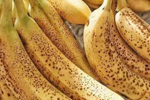 Món chuối chín mùa Thu, thích mấy cũng không ăn vào thời điểm này