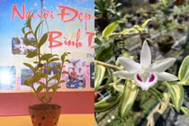 Những cuộc chuyển nhượng lan đột biến hàng trăm tỷ gây sốc dư luận