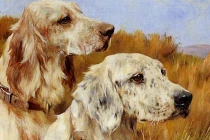 Ai đen mặc ai: 3 tuổi tháng 11 đổi vận, tháng 12 giàu có