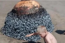 Tìm thấy 'hòn đá kỳ lạ' trên bãi biển, chuyên gia phán nguy hiểm